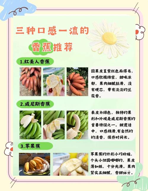 香蕉草莓向日葵丝瓜秋葵芒果最新版核心技术解析:5大种植优化方案助你增产40 香蕉草莓向日葵丝瓜秋葵芒果最新版核心技术解析:5大种植优化方案助你增产40