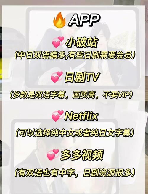 中日韩影视迷必看：3大平台在线观影指南与字幕版资源解析