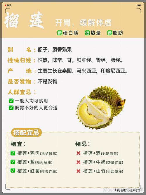 深夜食材营养释放奥秘:污丝瓜草莓榴莲保存技巧与健康价值深度解析 深夜食材营养释放奥秘:污丝瓜草莓榴莲保存技巧与健康价值深度解析