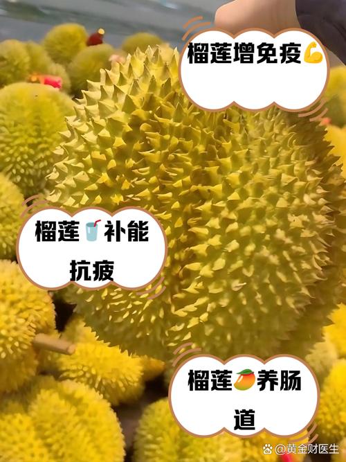 深夜食材营养释放奥秘:污丝瓜草莓榴莲保存技巧与健康价值深度解析 深夜食材营养释放奥秘:污丝瓜草莓榴莲保存技巧与健康价值深度解析