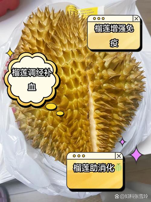 深夜食材营养释放奥秘:污丝瓜草莓榴莲保存技巧与健康价值深度解析 深夜食材营养释放奥秘:污丝瓜草莓榴莲保存技巧与健康价值深度解析