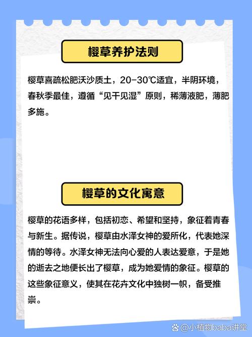 樱花草在线播放视频的高效解决方案：如何流畅观看与免费下载？