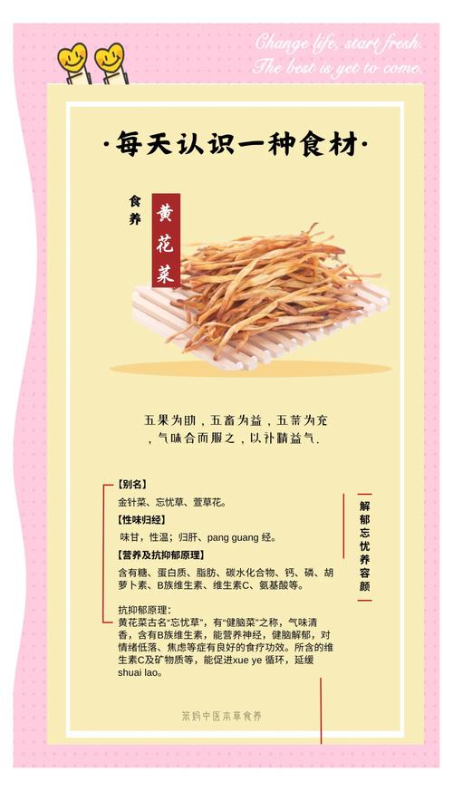 5大平台+3种技巧 忘忧草资源在线观看免费指南(附高清正版渠道) 5大平台+3种技巧 忘忧草资源在线观看免费指南(附高清正版渠道)