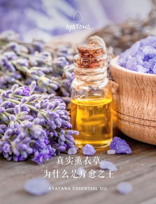 薰衣草研究所的隐藏价值:如何用科学方法解锁香气与疗愈的双重奥秘? 薰衣草研究所的隐藏价值:如何用科学方法解锁香气与疗愈的双重奥秘?