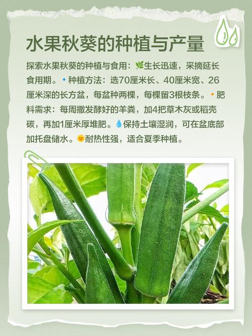 家庭园艺必看：丝瓜、香蕉、向日葵、草莓、秋葵5类果蔬10大黄金种植法则（专家推荐方案）