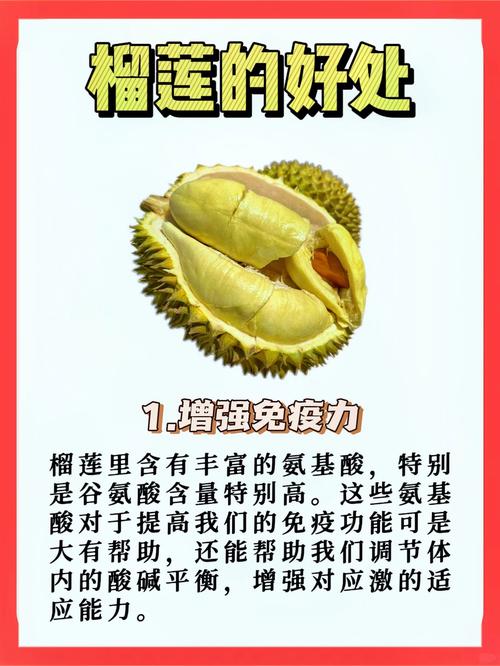 深夜必看！5部榴莲视频高分剧集推荐，熬夜党必备解压清单