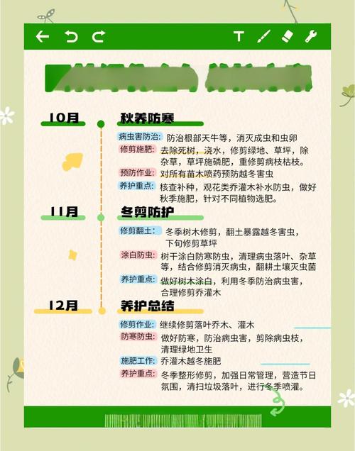 2025年小草养护有哪些新趋势？这些技巧你掌握了吗？