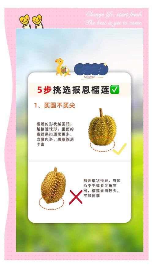 榴莲福999实战秘籍：5个被忽略的引流技巧助你精准避坑