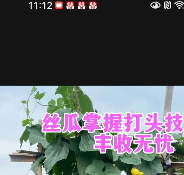 家庭种植新趋势：丝瓜草莓香蕉绿巨人高效种植技巧与幸福提升全攻略