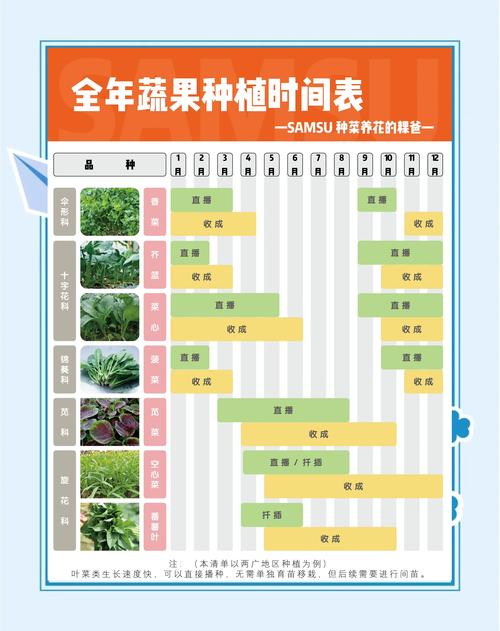 家庭种植新趋势：丝瓜草莓香蕉绿巨人高效种植技巧与幸福提升全攻略