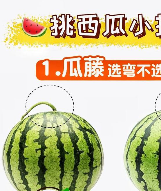 西瓜娱乐永不失联入口所有版本最新版：5大版本对比及下载方法全解析