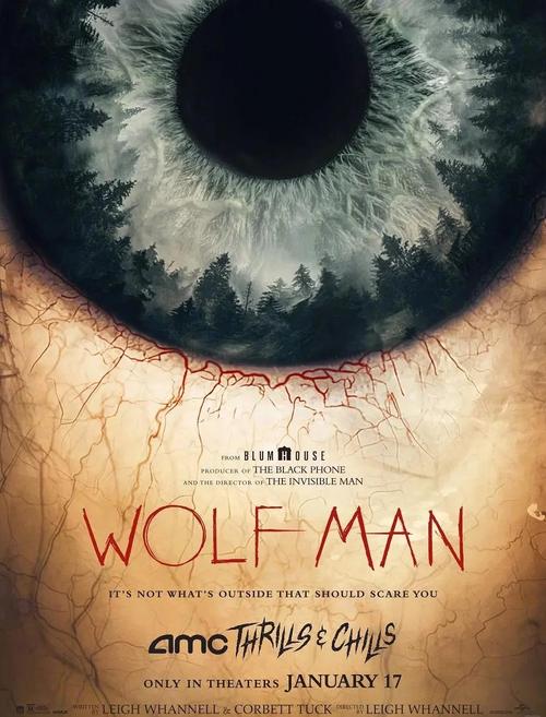 狼人乱码无限2025芒果不卡版解析：如何实现高清流畅观看？技术原理全揭秘