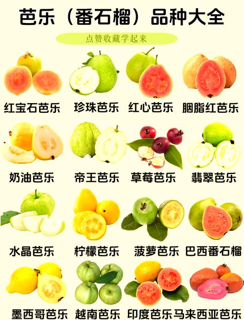 芭乐草莓视频为何引发千万关注？揭秘向日葵幸福宝背后的流量密码