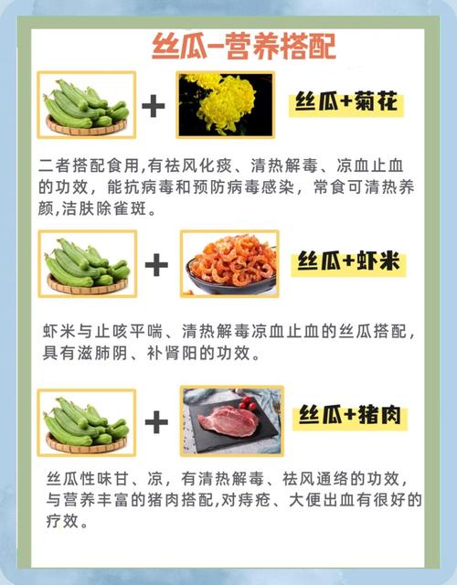 揭秘丝瓜秋葵草莓香蕉榴莲APP免费版：5大健康食谱打造科学营养搭配方案