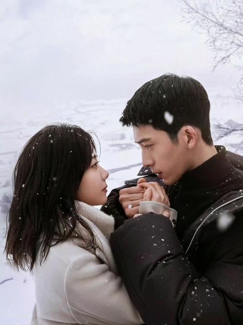 飘雪影视手机版 vs 其他追剧平台:免费高清资源与流畅体验如何兼得? 飘雪影视手机版 vs 其他追剧平台:免费高清资源与流畅体验如何兼得?