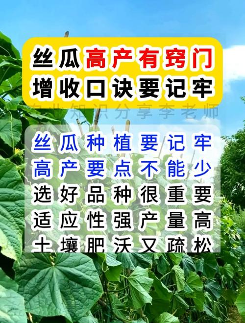香蕉丝瓜高效种植指南：5大花季管理技巧助力绿巨人传媒视频素材高产