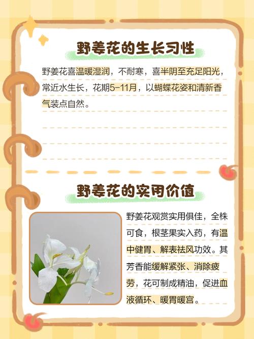 野花视频新版为何引发热议？五大核心功能解析与用户痛点解决方案