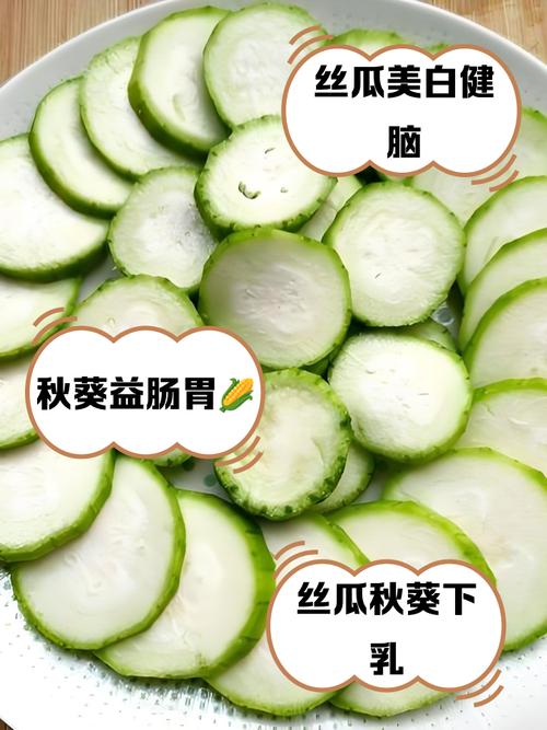为何秋葵丝瓜草莓被称为幸福三宝？免费健康食谱大公开