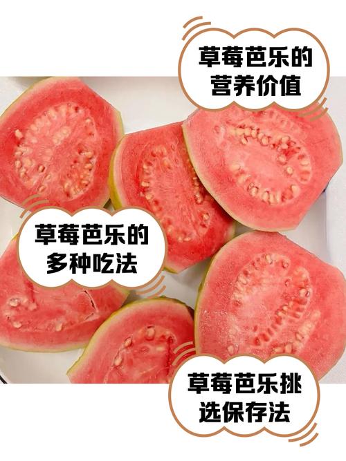 2025草莓芭乐樱桃丝瓜绿巨人种植全攻略:5大高产秘诀+权威专家解析 2025草莓芭乐樱桃丝瓜绿巨人种植全攻略:5大高产秘诀+权威专家解析