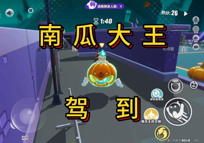 南瓜视频隐藏功能大揭秘：另类视角解锁小众纪录片与冷门电影宝藏