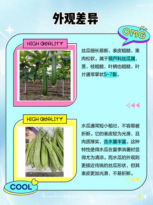 草莓榴莲与向日葵丝瓜种植对比：高产技术与低风险管理的核心差异解析