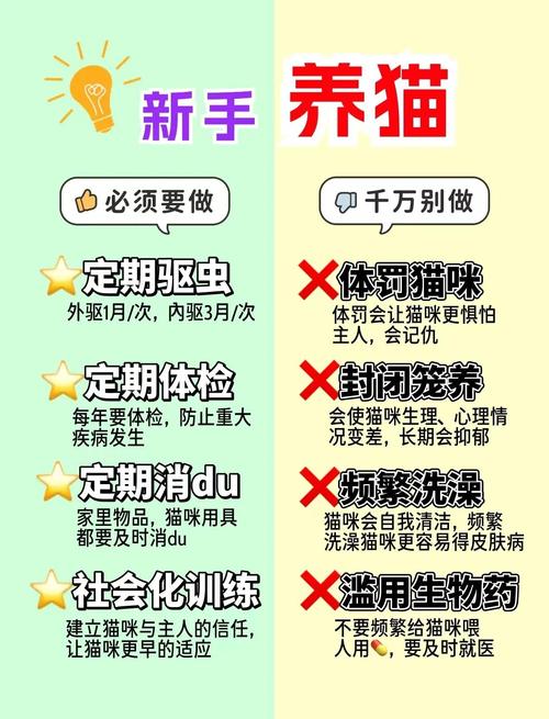 猫咪社区官方在线最新HD有哪些隐藏功能？资深用户揭秘3大实用技巧与避坑指南！