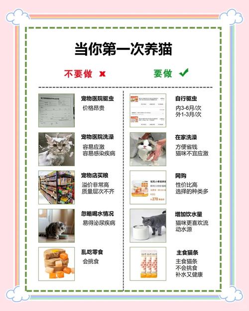 猫咪社区官方在线最新HD有哪些隐藏功能？资深用户揭秘3大实用技巧与避坑指南！