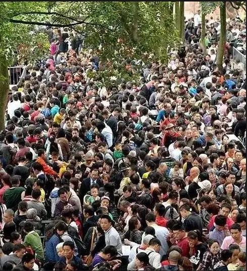 五一假期自驾游热门城市景区排行榜：助您避开人潮，尽享美景