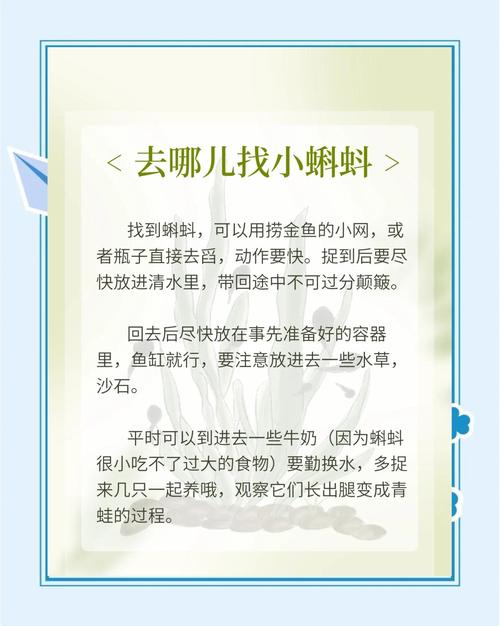 如何安全获取蝌蚪99r精品视频资源？资深用户分享实用技巧