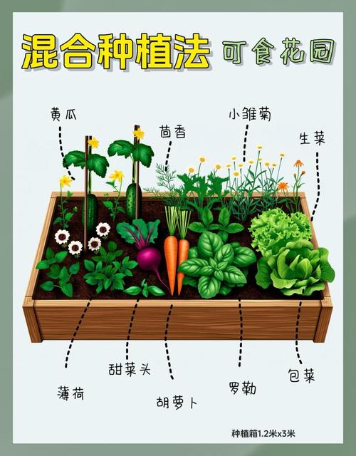 家庭种植新风口:香蕉丝瓜草莓秋葵小猪芭乐的生态组合种植法解析 家庭种植新风口:香蕉丝瓜草莓秋葵小猪芭乐的生态组合种植法解析