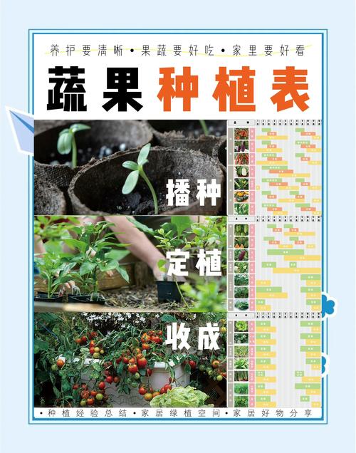 家庭种植新风口:香蕉丝瓜草莓秋葵小猪芭乐的生态组合种植法解析 家庭种植新风口:香蕉丝瓜草莓秋葵小猪芭乐的生态组合种植法解析