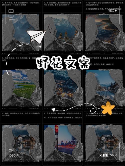 野花社区视频在线观看视频背后隐藏的三大秘密,为何引发网友疯狂讨论? 野花社区视频在线观看视频背后隐藏的三大秘密,为何引发网友疯狂讨论?