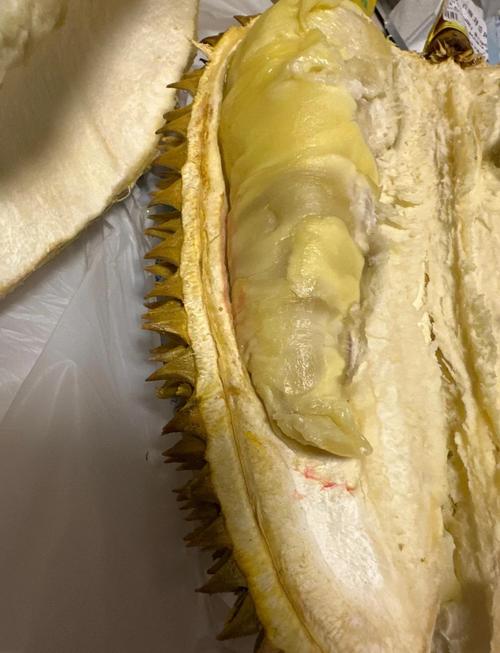 榴莲色斑让你流连忘返?503错误背后隐藏哪些皮肤危机? 榴莲色斑让你流连忘返?503错误背后隐藏哪些皮肤危机?