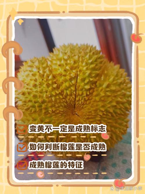 榴莲色斑让你流连忘返?503错误背后隐藏哪些皮肤危机? 榴莲色斑让你流连忘返?503错误背后隐藏哪些皮肤危机?