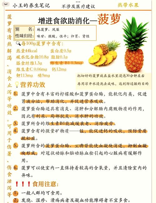 大菠萝1.免费版 vs 付费版：功能差异解析与零成本运营实战指南