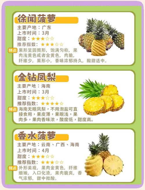 大菠萝1.免费版 vs 付费版：功能差异解析与零成本运营实战指南