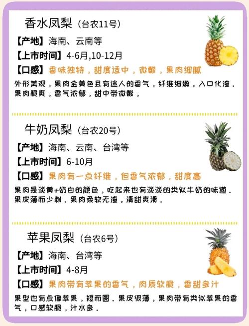 大菠萝1.免费版 vs 付费版：功能差异解析与零成本运营实战指南