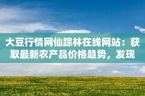 5个免费解锁仙踪林大豆行情网的实用技巧(附2025最新资源导航) 5个免费解锁仙踪林大豆行情网的实用技巧(附2025最新资源导航)