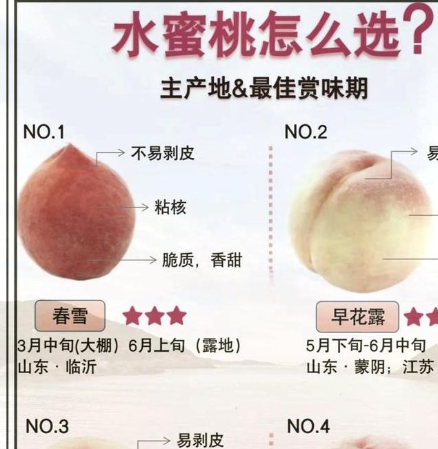 水蜜桃国产精品视频创作指南：如何用高清原生内容打造差异化流量爆点？