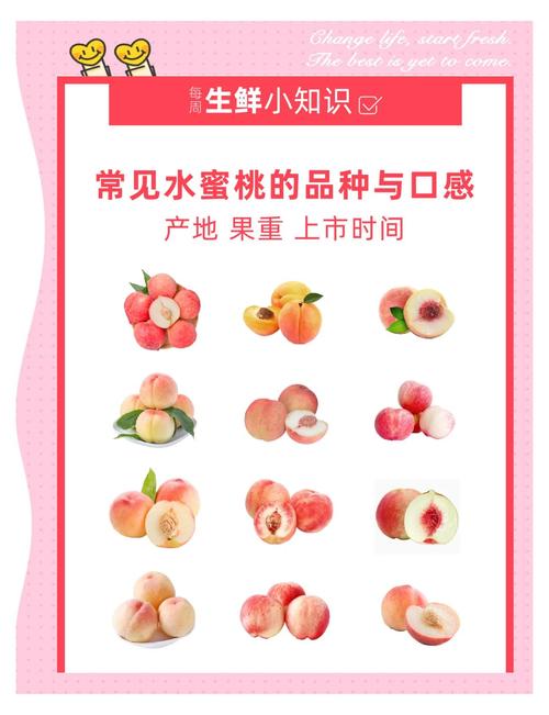 水蜜桃国产精品视频创作指南：如何用高清原生内容打造差异化流量爆点？