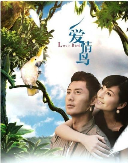 爱情鸟视频高清完整版免费观看指南：独家资源推荐与安全下载技巧