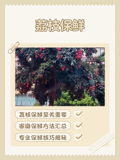 荔枝视频免费资源如何安全获取?这5个合法渠道你知道吗? 荔枝视频免费资源如何安全获取?这5个合法渠道你知道吗?