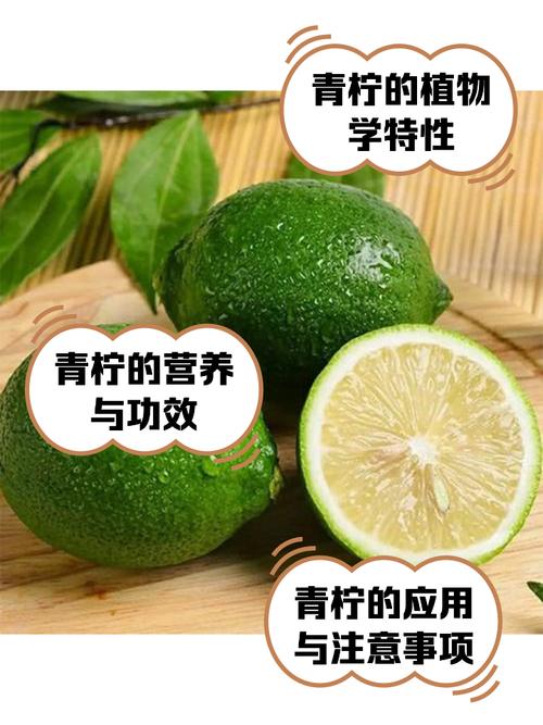 如何在百度网盘手机版免费观看青柠高清资源？这5个技巧必须掌握！