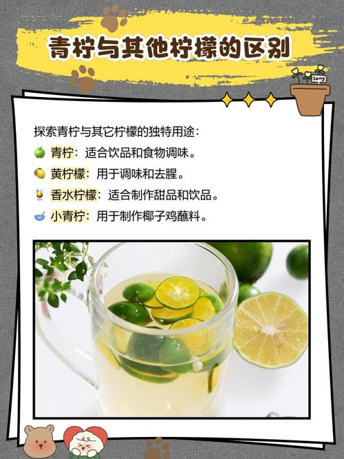 如何在百度网盘手机版免费观看青柠高清资源？这5个技巧必须掌握！