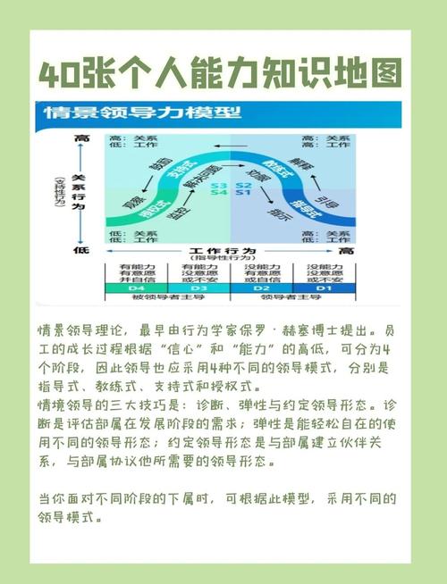 雄霸南亚的高效解决方案：深度解析如何快速实现区域领导力？