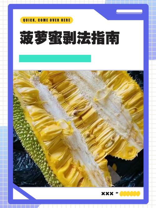 菠萝蜜视频流畅观看高效解决方案：如何实现高清无卡顿体验？