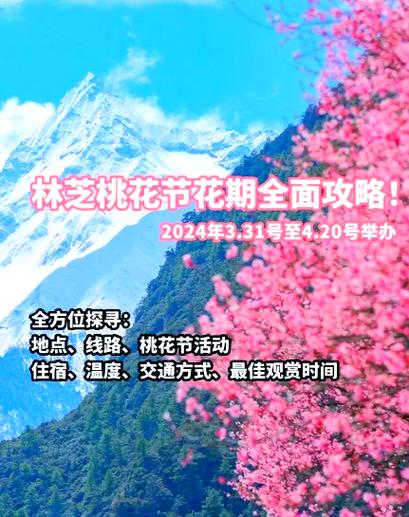 10个专家秘笈:桃花视频高清免费观看app最佳使用指南,轻松提升观影体验 10个专家秘笈:桃花视频高清免费观看app最佳使用指南,轻松提升观影体验