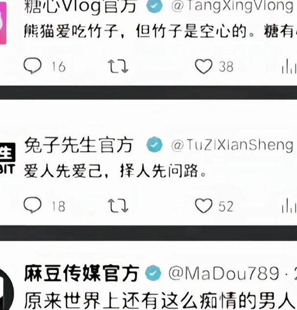 18款被禁App深度解析:糖心Vlog等安全隐患与安全替代方案 18款被禁App深度解析:糖心Vlog等安全隐患与安全替代方案