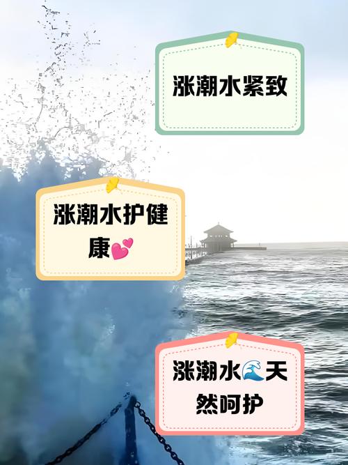 这才是www潮水高清在线的真正优势：深度解析高清潮水视频的独特价值