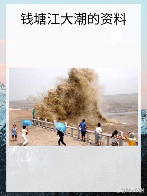 这才是www潮水高清在线的真正优势：深度解析高清潮水视频的独特价值